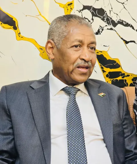 سفارة السودان بالقاهرة تهنئ مصر بذكرى ثورة 30 يونيو وتؤكد متانة العلاقات بين البلدين