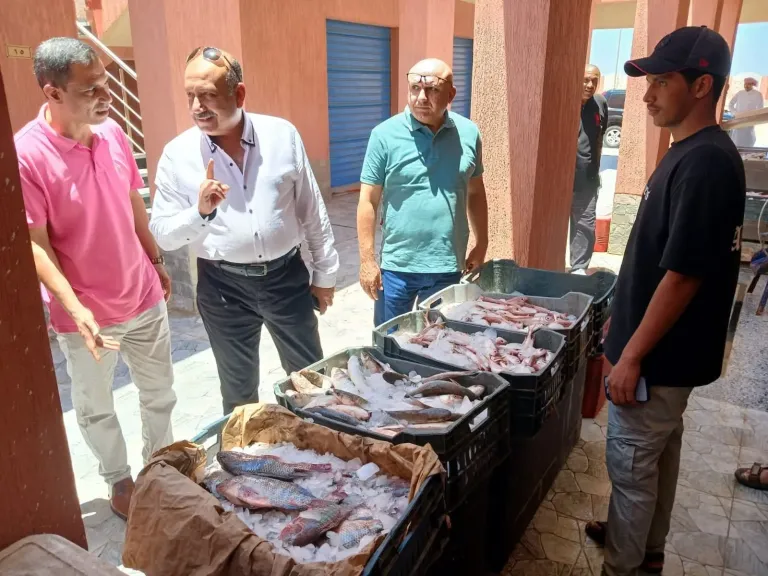 سكرتير عام محافظة جنوب سيناء ومتابعة ميدانية لتفعيل مركز الصيد التعاوني بمدينة الطور