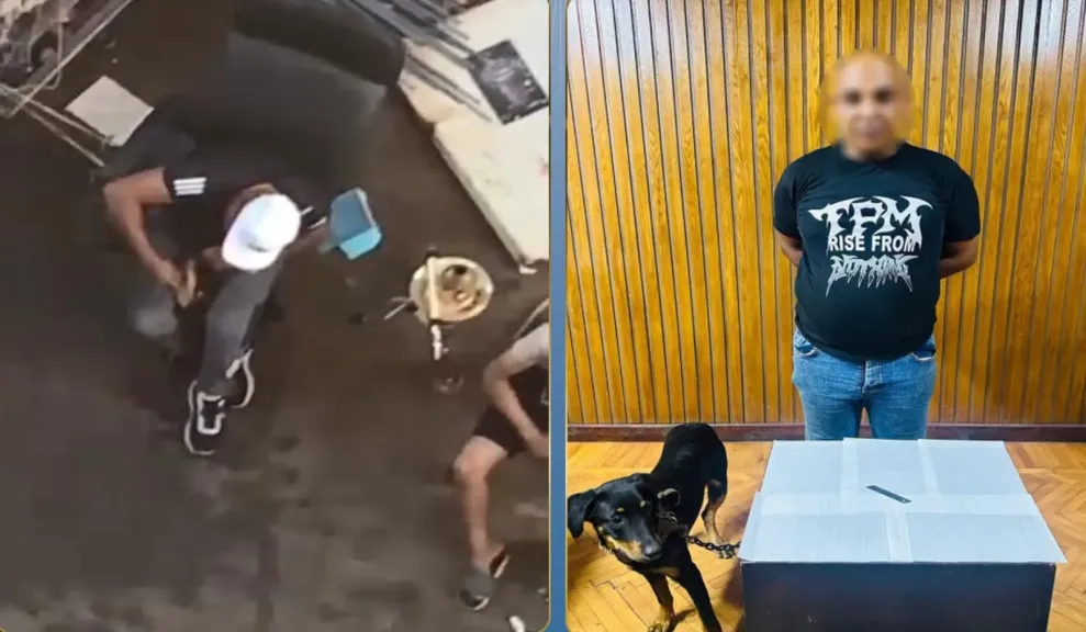 ضبط شخص لاعتدائه على كلب بسلاح أبيض في الإسكندرية