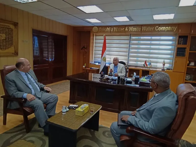500 مليون جنيه تدخل مرحلة التنفيذ.. ومياه الدقهلية تكثف استعداداتها في بهوت