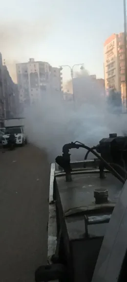 محافظ الدقهلية: حملات يومية لمكافحة الناموس والحشرات بالدقهلية