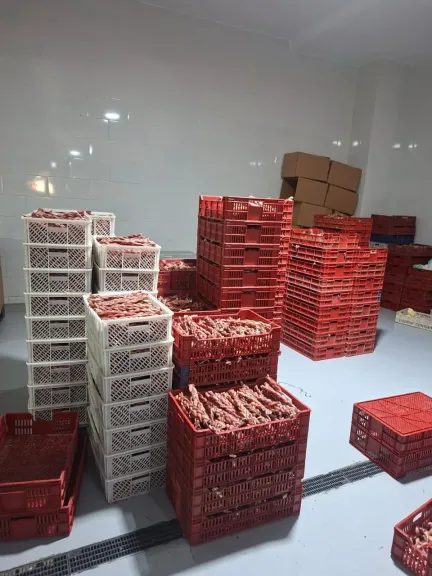 الزراعة: إنتاج أكثر من 4 آلاف طن من منتجات تدوير المخلفات الحيوانية خلال يونيو