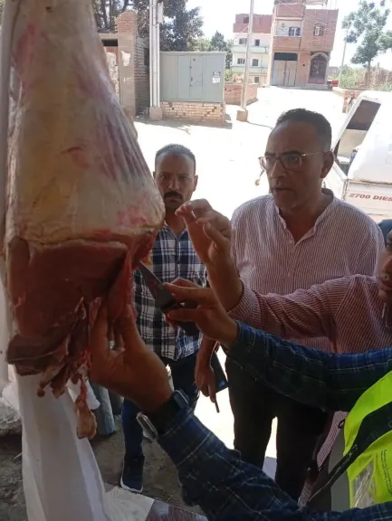 ضبط وإعدام كميات من اللحوم والمواد الغذائية خلال حملة رقابية مكبرة بمدينة الشهداء