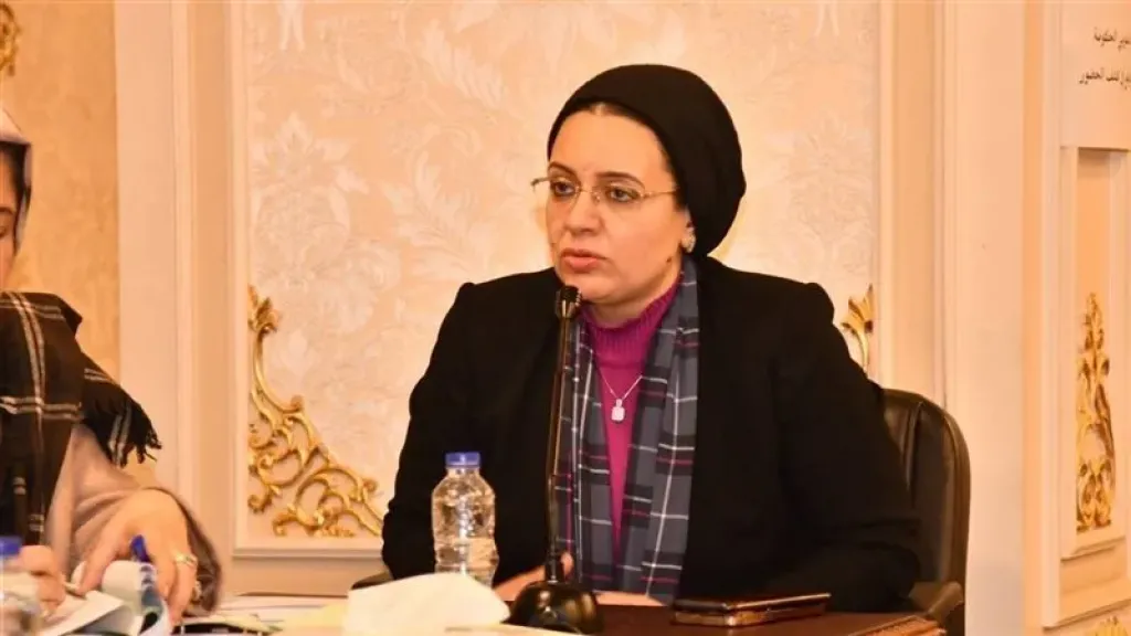 ريهام عبد النبي: دعوة الرئيس لإجراء انتخابات المحليات خطوة مهمة لتعزيز المشاركة الشعبية