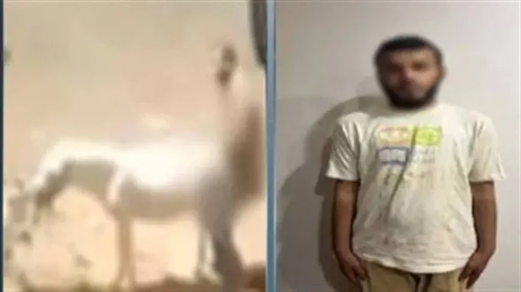 المتهم 