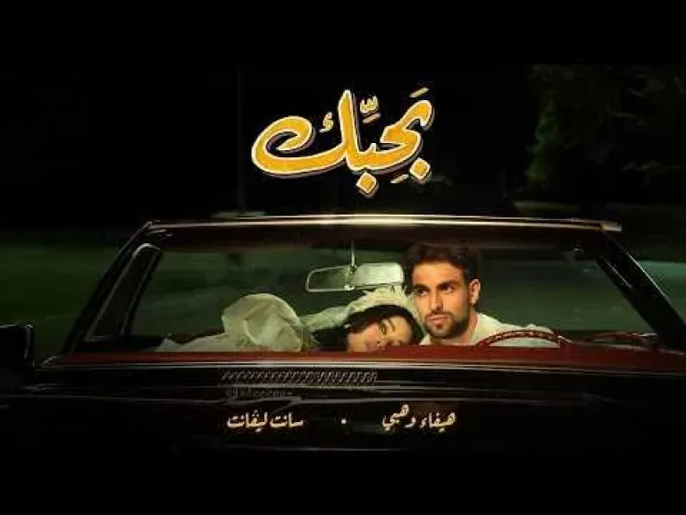 هيفاء وهبي 