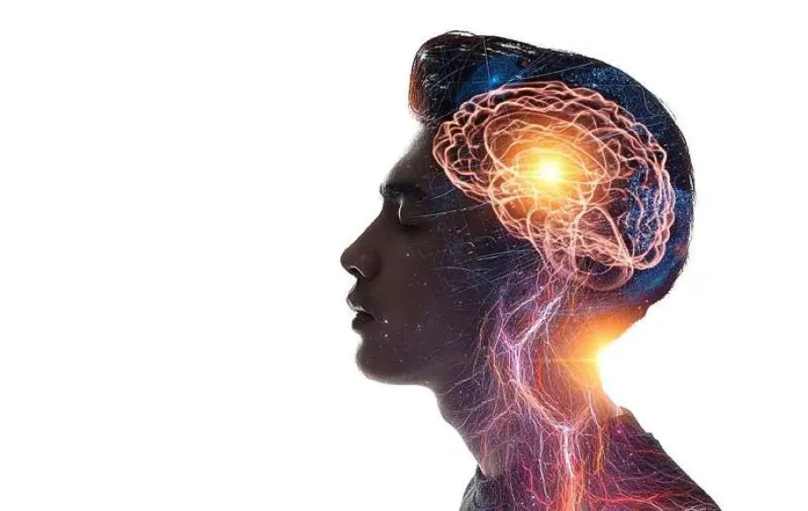 تعلُّم لغة جديدة قد يجعل دماغك أصغر عمرًا بـ13 عامًا.. دراسة تكشف مفاجأة
