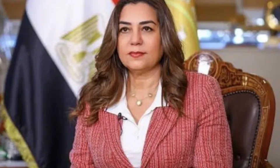 التنمية المحلية: 75 إحالة للنيابات والشئون القانونية بعد حملات تفتيش بأحياء القاهرة والجيزة