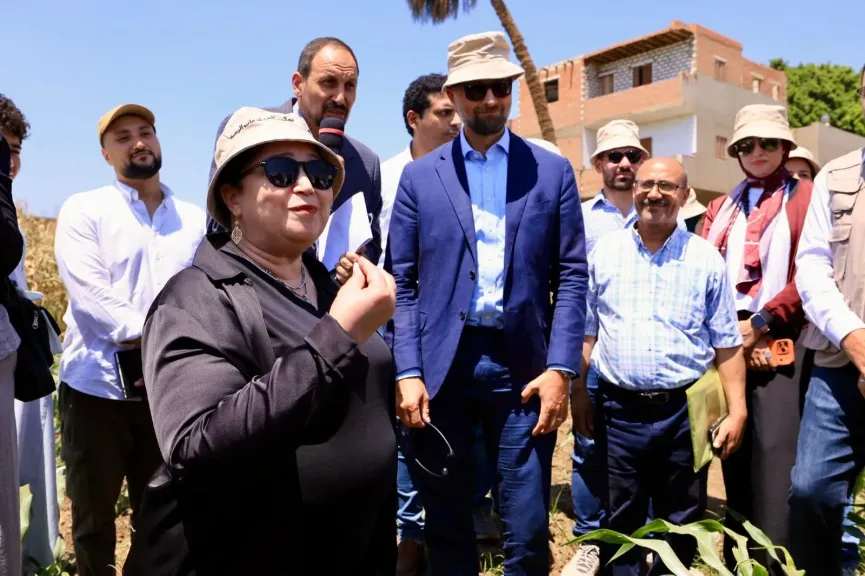 نائب وزيرة التضامن