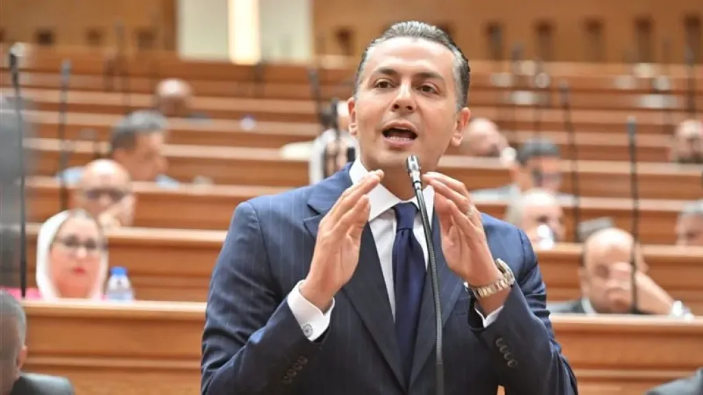 أحمد عبد الجواد: قانون «جهاز مستقبل مصر» يحقق التوازن بين التنمية والرقابة.. ويخضع لإشراف البرلمان والمركزي للمحاسبات