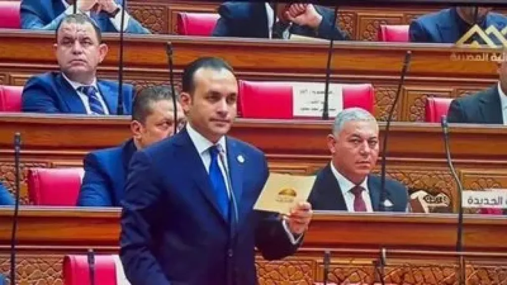 النائب عمرو فهمي