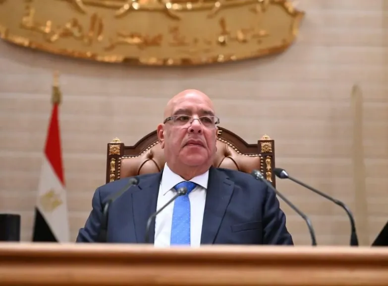 مجلس النواب يوافق نهائيًا على قانون ”مستقبل مصر”.. صلاحيات أوسع لجذب الاستثمار وتعزيز الأمن الغذائي