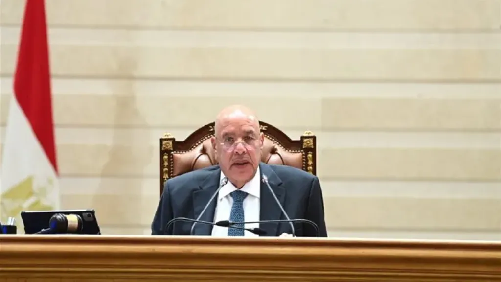 مجلس النواب يوافق على المادة 32 بمشروع قانون إعادة تنظيم جهاز مستقبل مصر