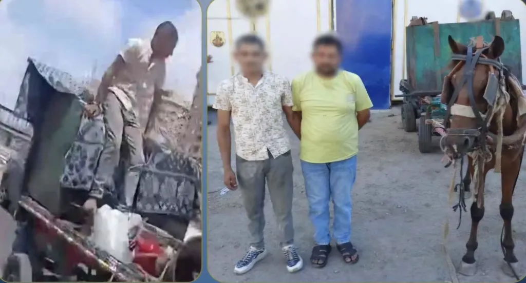 ”رفعوا المخلفات بالصندوق الحديد”.. القبض على مستقلي عربة ”كارو” سرقوا صندوق قمامة بالإسكندرية