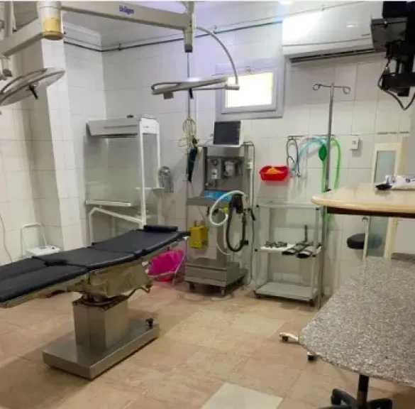 حملة صحية صارمة بالإسماعيلية… غلق 7 منشآت خاصة وإنذار 15 لتوفيق أوضاعها