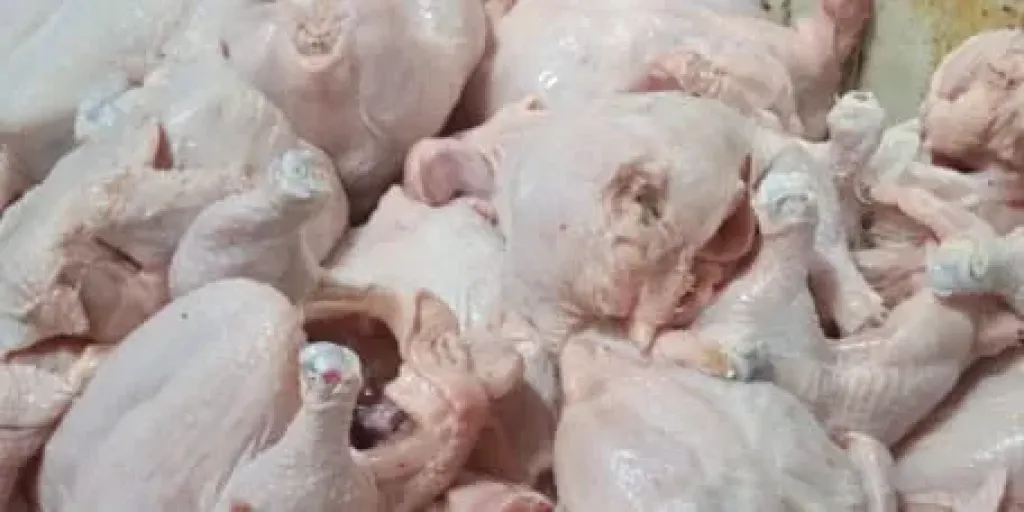 ضبط كميات من المواد الغذائية مجهولة المصدر خلال حملات مكثفة بمحافظة كفرالشيخ