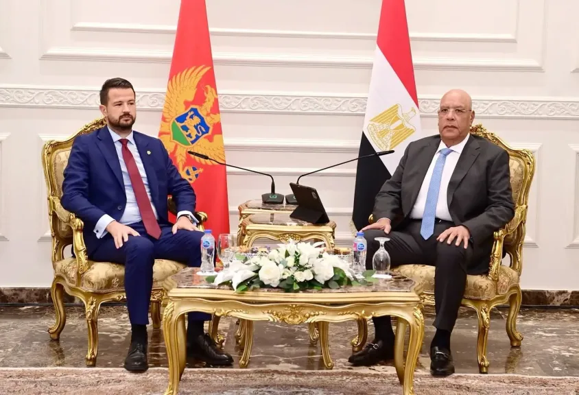 رئيس مجلس النواب يؤكد عمق العلاقات مع رئيس جمهورية الجبل الأسود ويشيد بدعمها لفلسطين.. توافق على تعزيز التعاون الاقتصادي والبرلماني وتكثيف التنسيق الدولي