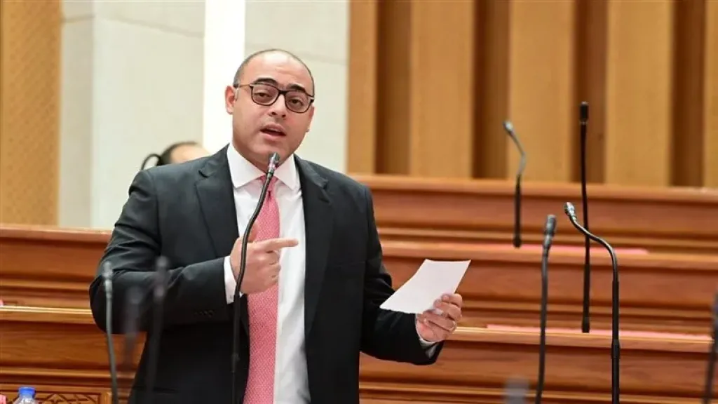 النائب أحمد علاء فايد