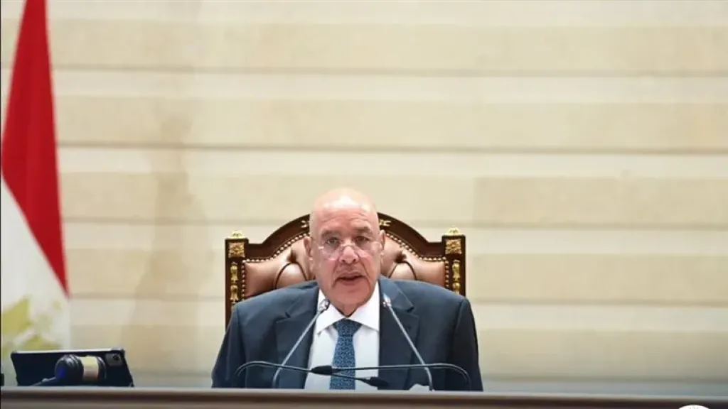 مجلس النواب يوافق مبدئيًا على مشروع قانون إنشاء جامعة «كيان» بالقوات المسلحة