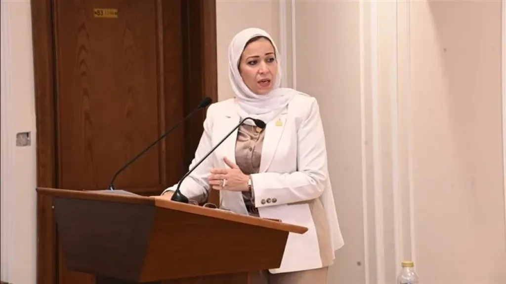 النائبة نجوى الألفي