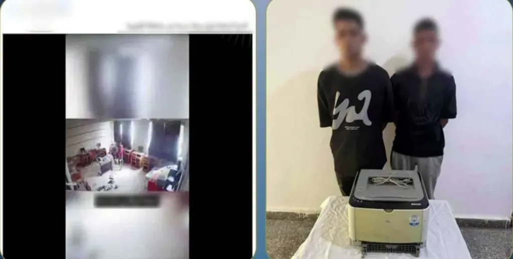 تسللا ليلاً وقفزا فوق السور.. سقوط لصي مدرسة شبين القناطر بعد تداول فيديو الواقعة