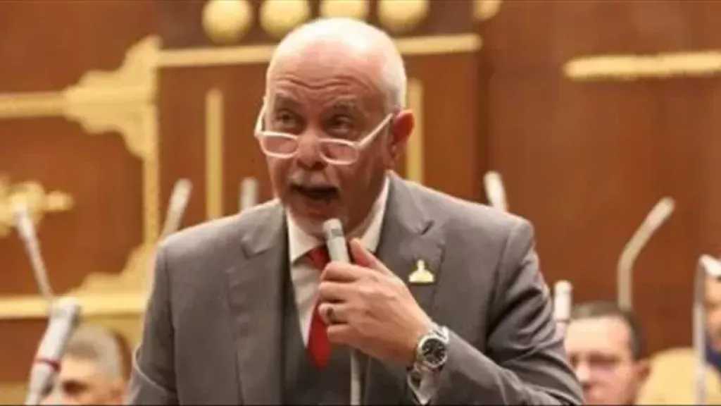 الجندي: مصر تؤدي دورًا محوريًا في تهدئة أزمات المنطقة