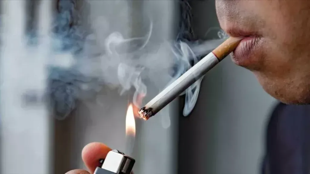 قبل إشعال سيجارة.. تعرف على عقوبة التدخين في وسائل المواصلات