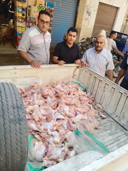 خلال حملة مكبرة بحي غرب شبين الكوم.. ضبط ربع طن دواجن محقونة بالمياه وغير صالحة للاستهلاك الآدمي
