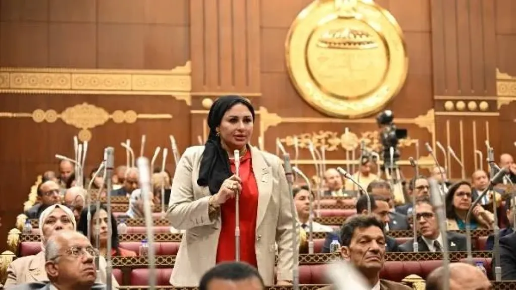النائبة شيرين صبري لـ النهار: صانعة جيل أصدق من ربة منزل.. والإمارات سبقتنا لتقدير الأمهات