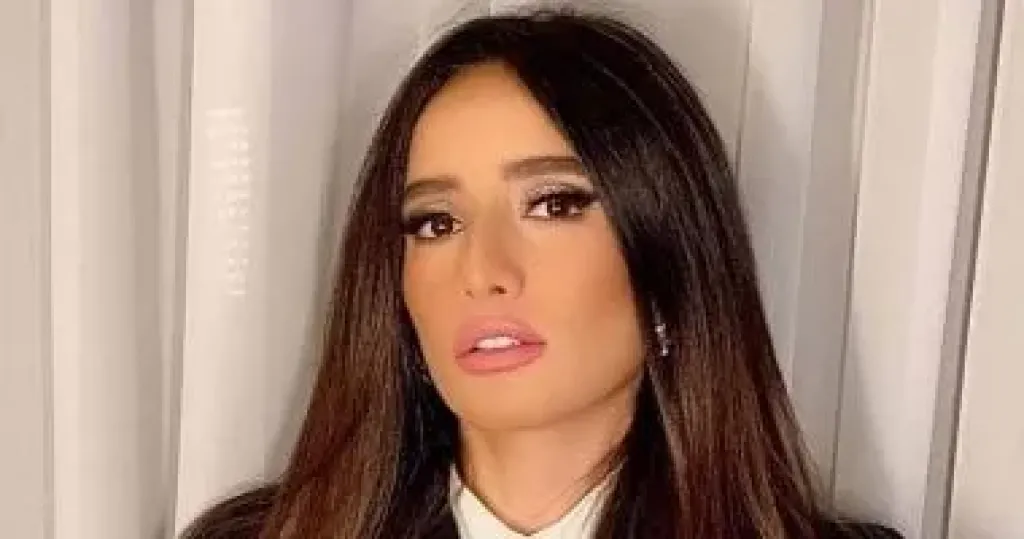 براءة رجل أعمال من اتهام مطاردة نجلي الفنانة زينة بكلب في الشيخ زايد