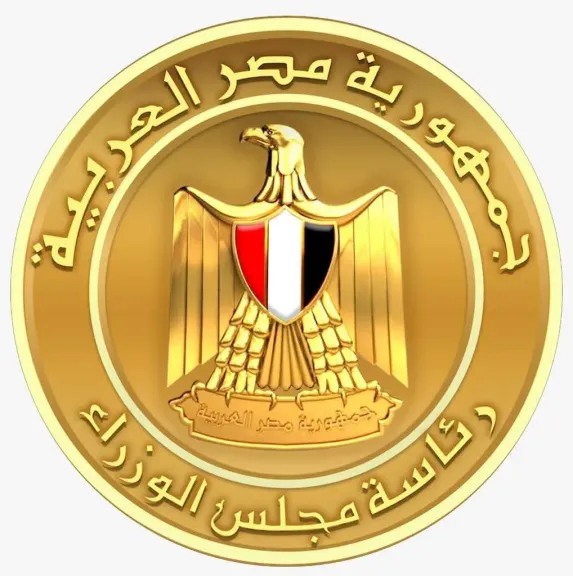 الحكومة: التحقيقات الأولية تكشف تعرض سفينتي الغاز في ميناء دمياط لهجوم بطائرة مسيّرة