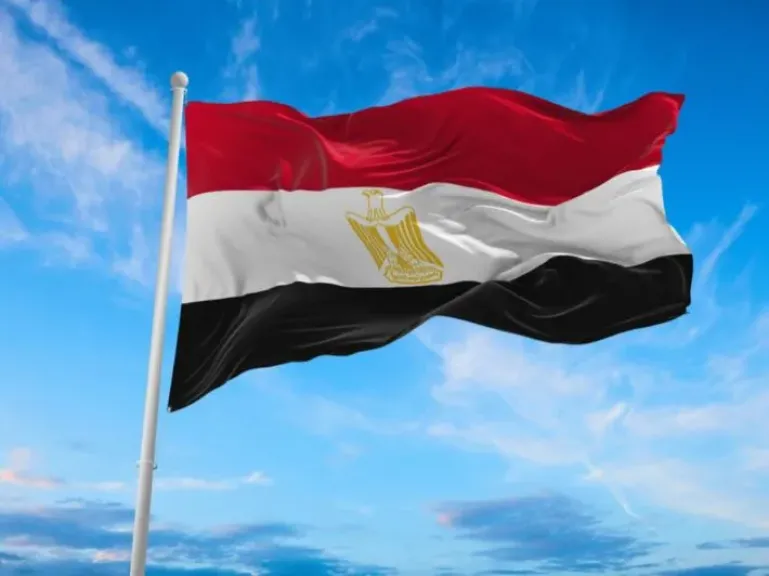 الدولة المصرية