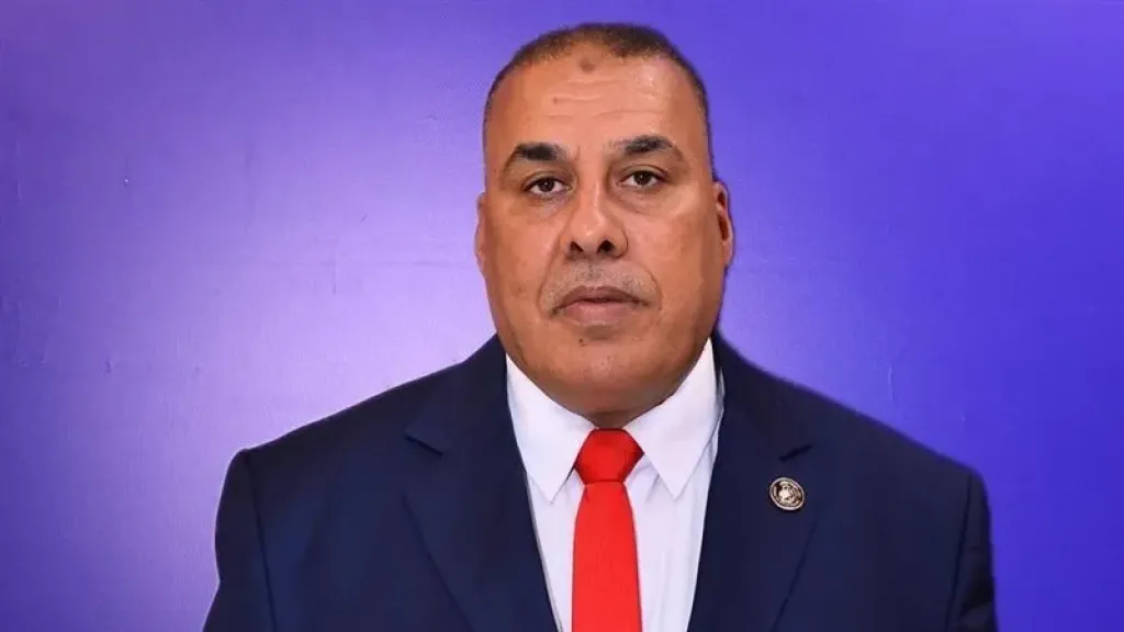  النائب محمد أبو النصر