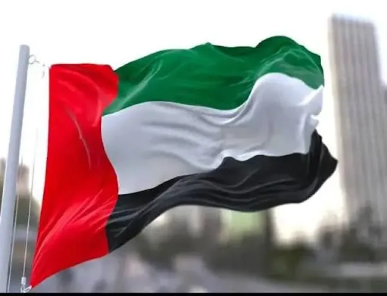 الإمارات تدين بشدة هجوم استهدف سفينتين في ميناء دمياط وتؤكد تضامنها مع  مصر