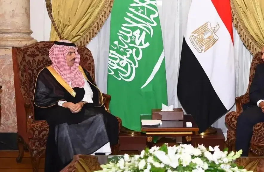 وزيرا الخارجية المصري والسعودي