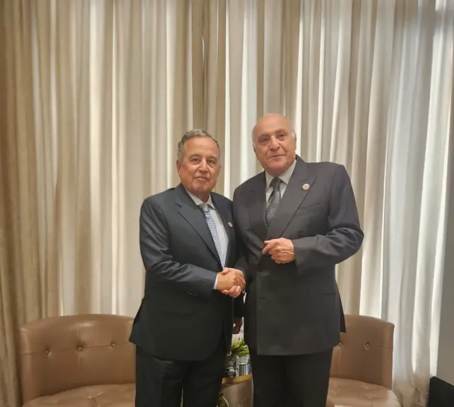 نبيل فهمي يشيد بالدور العربي الفاعل للجزائر ويثمن مواقفها الداعمة للقضية الفلسطينية والقضايا  الراهنة