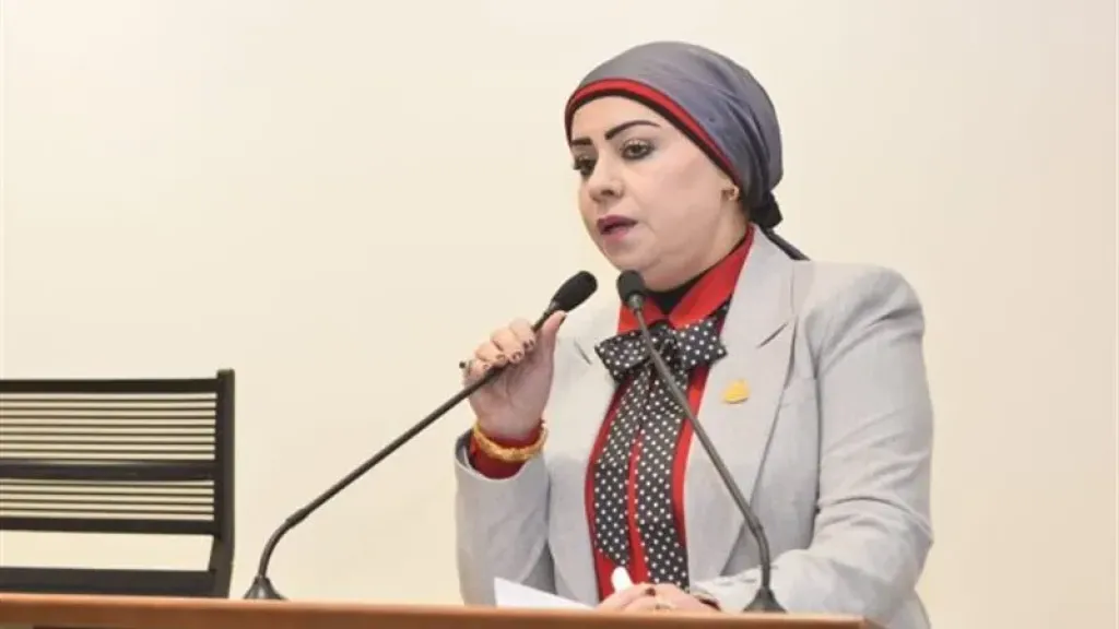 النائبة جيهان شاهين: مصر ستظل الركيزة الأساسية لدعم الاستقرار وترسيخ السلام