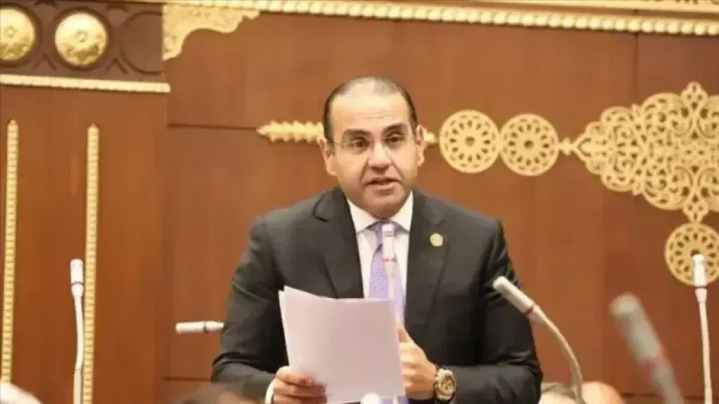 لمنزلاوي: القطاع الخاص قاطرة التنمية.. وتوجيهات السيسي ترسم ملامح اقتصاد تنافسي