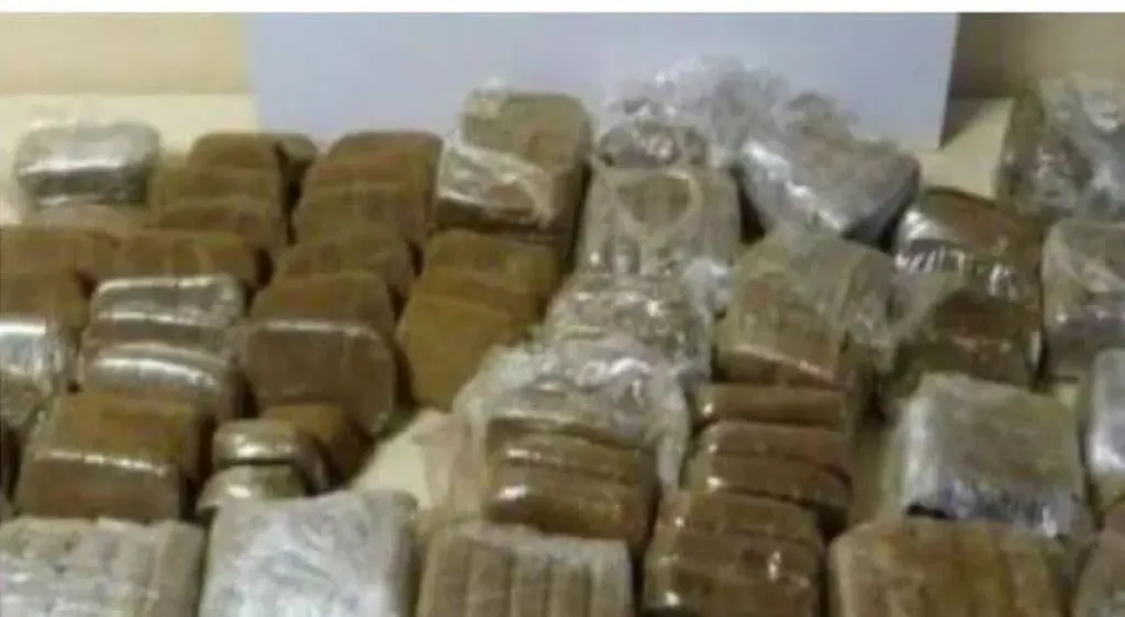 حبس 4 أيام وفحص 75 طربة حشيش بالمعمل الكيماوي.. ننشر قرارات جهات التحقيق ضد المتهم بحوزة صفقة مخدرات داخل القطار بقنا