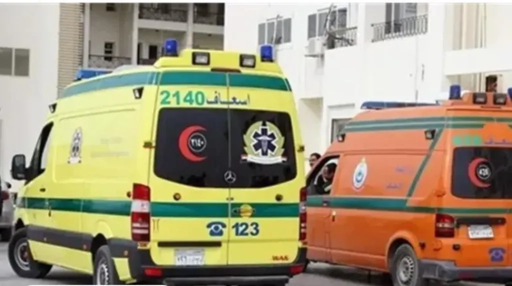خلال مرورها على مزلقان غبر قانوني.. مصرع سيدة دهسًا أسفل عجلات القطار في قنا
