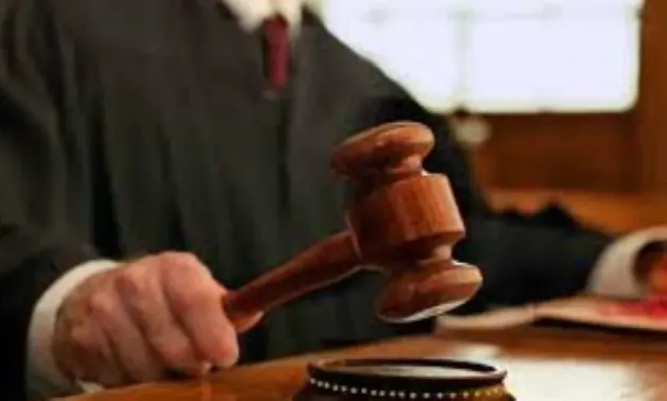 السجن 10 سنوات للمتهم في القضية المعروفة بمستريح البيض