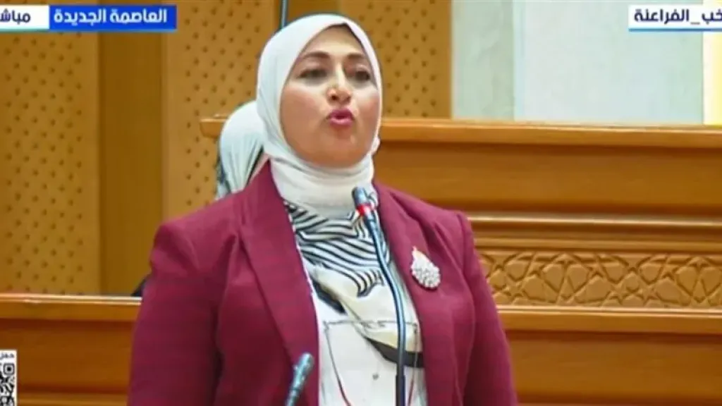 رئيسة «ثقافة النواب»: إدراج التربية الإعلامية بالمناهج خطوة أساسية لحماية وعي الطلاب