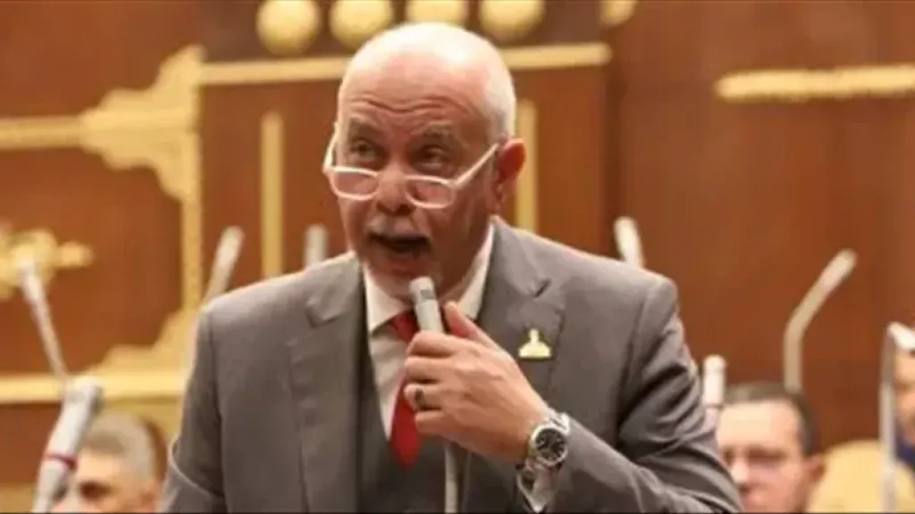 عضو مجلس الشيوخ: شراكة مصر مع «بريكس» تفتح آفاقًا جديدة لدعم الاقتصاد المحلي