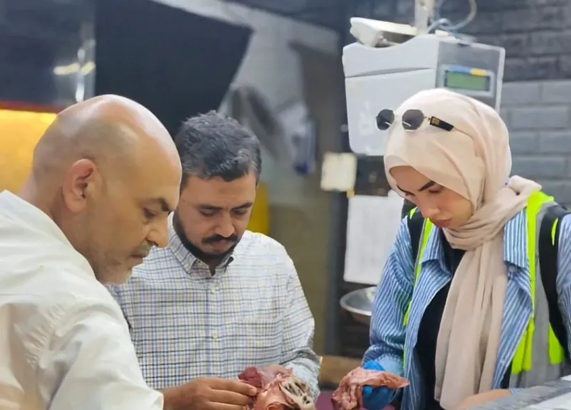 د. هاني شمس الدين وكيل وزارة الطب البيطري بالقليوبية 