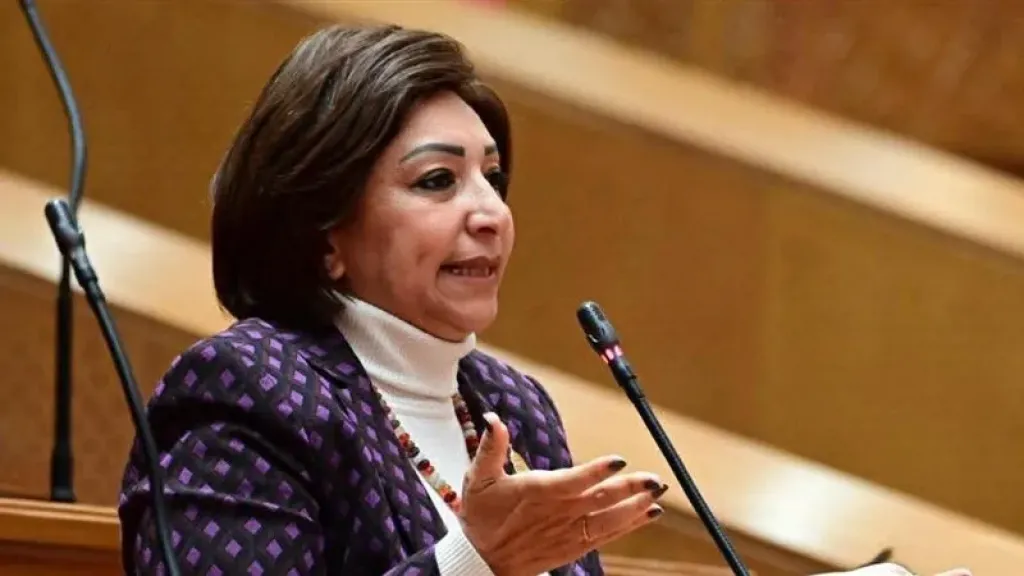 بعد أزمة الخطوط المسجلة دون علم أصحابها.. مها عبد الناصر تشيد بإحالة شركات المحمول للنيابة