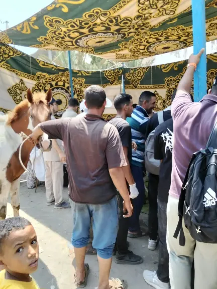 ضمن مبادرة «بلدك معاك»..قافلة بيطرية مجانية بقرية 58 الخاشعة ببلطيم في كفرالشيخ