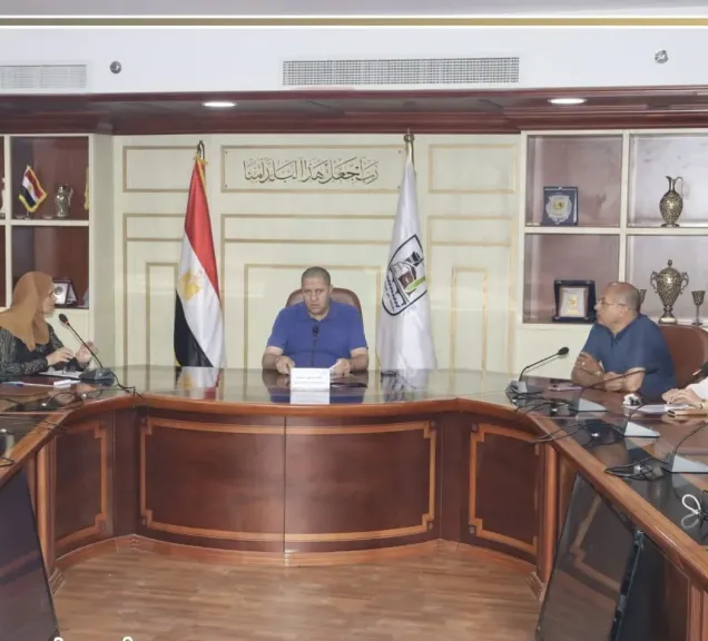 مشروعك ببنى سويف يمول ١٧الفاو٩٨٠مشروعا