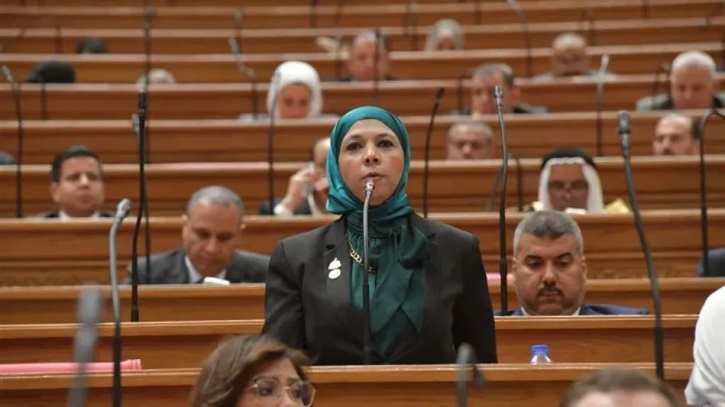 النائبة مريم العزب