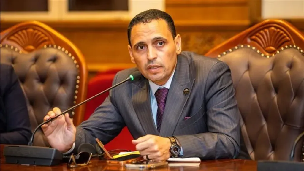 النائب إسلام التلواني