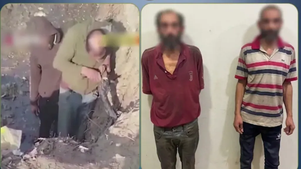 الكاميرا كشفتهم بعد عام.. سقوط لصين في محاولة سرقة كابل كهرباء بشبرا الخيمة